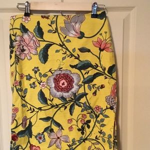 Loft Pencil Skirt